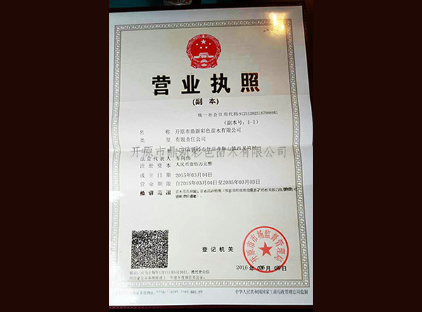 營(yíng)業(yè)執(zhí)照